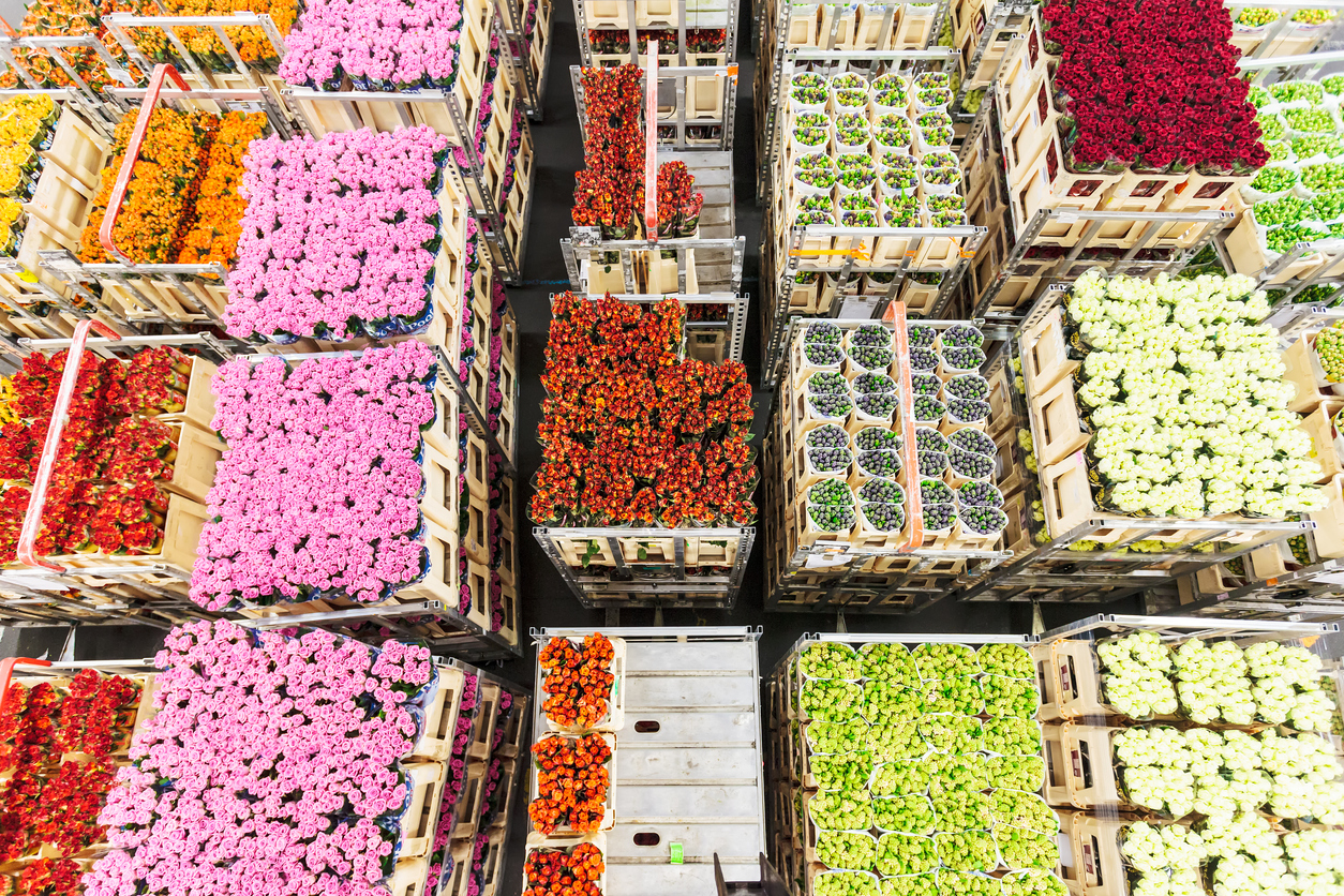 Import perishables into the USA